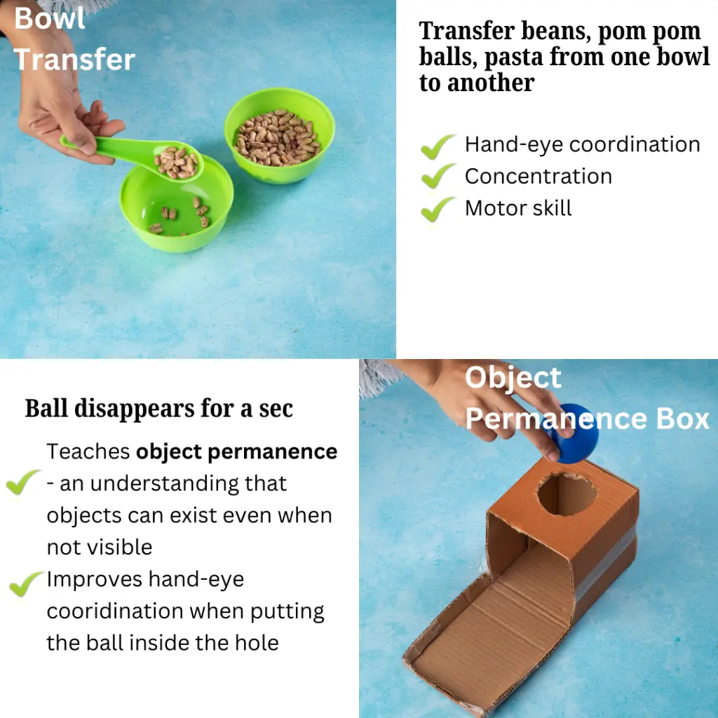 Box1 (3).webp